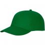 Feniks 5 panel cap Fern green