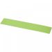 Rothko 20 cm plastic ruler Frosted green