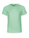 Kids T-shirt Dusty Mint