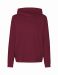 Unisex Jersey Hoodie Bordeaux